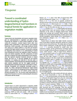 Toward a coordinated understanding of hydro‐biogeochemical root functions in tropical forests for application in vegetation models