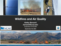 Wildfires and Air Quality